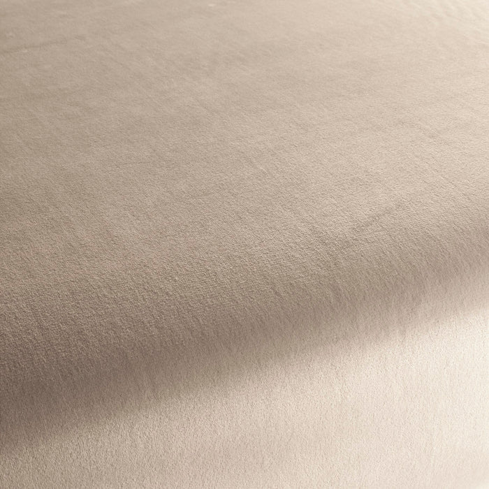 Carlucci Tender Kiss 071 Fabric CA1793/071