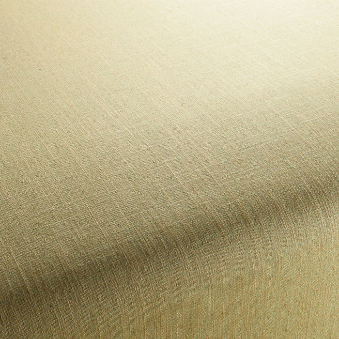 Carlucci Two-Tone Vol.2 035 Fabric Sample CA7655/035