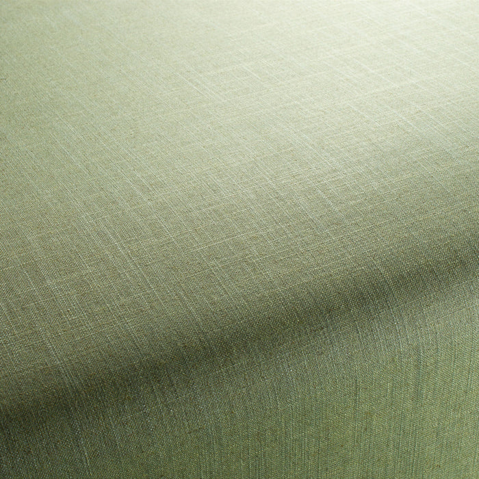 Carlucci Two-Tone Vol.2 038 Fabric CA7655/038