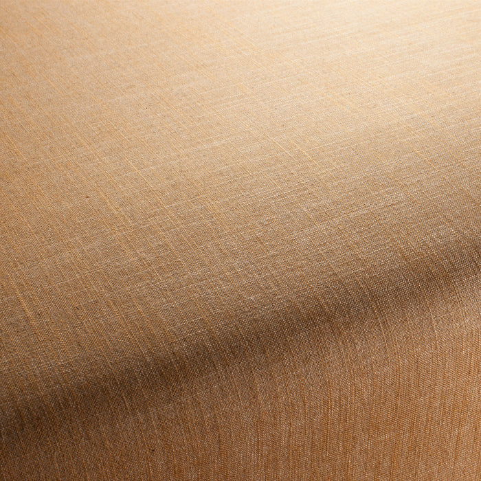 Carlucci Two-Tone Vol.2 042 Fabric CA7655/042