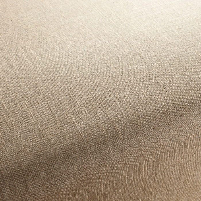 Carlucci Two-Tone Vol.2 077 Fabric Sample CA7655/077