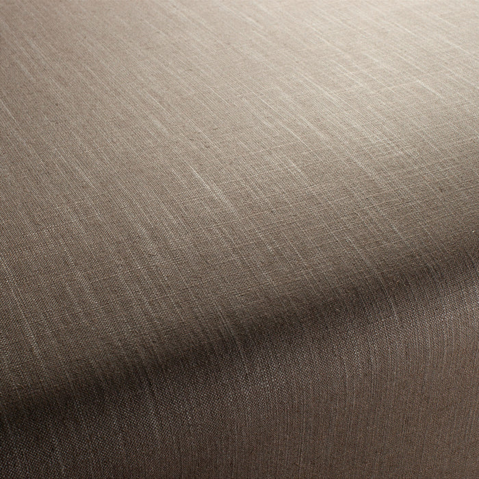 Carlucci Two-Tone Vol.2 123 Fabric Sample CA7655/123