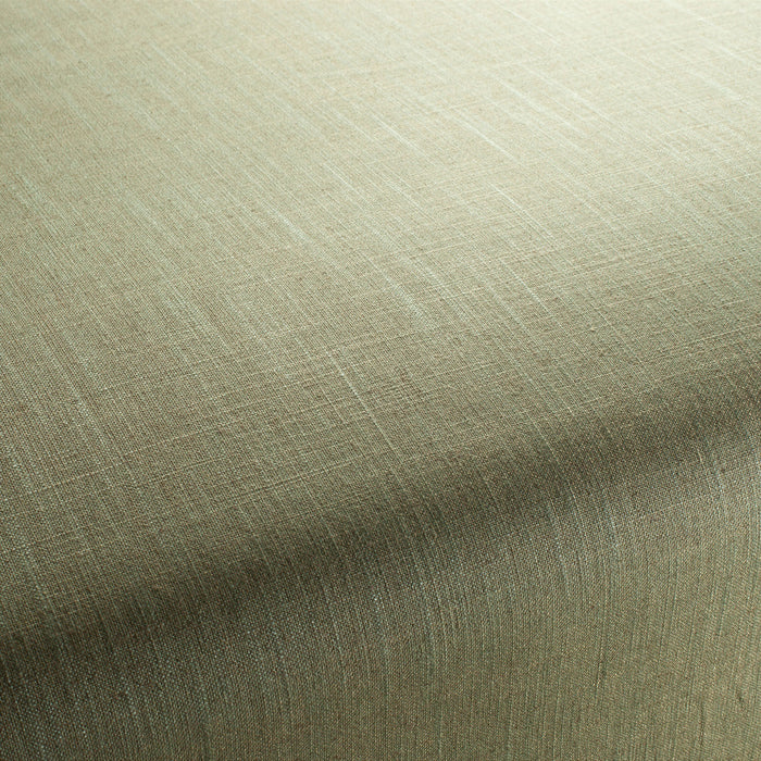 Carlucci Two-Tone Vol.2 130 Fabric Sample CA7655/130