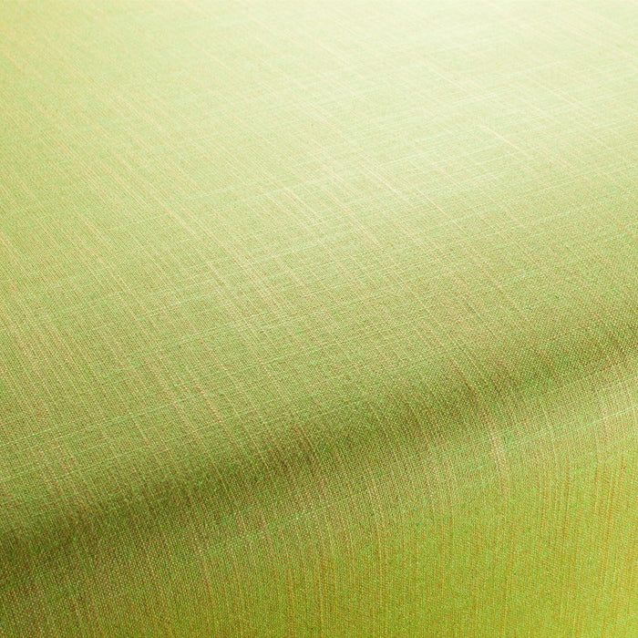 Carlucci Two-Tone Vol.2 134 Fabric CA7655/134