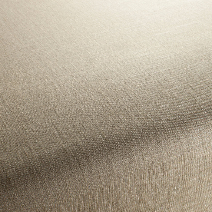Carlucci Two-Tone Vol.2 174 Fabric Sample CA7655/174