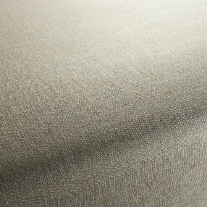 Carlucci Two-Tone Vol.2 178 Fabric Sample CA7655/178