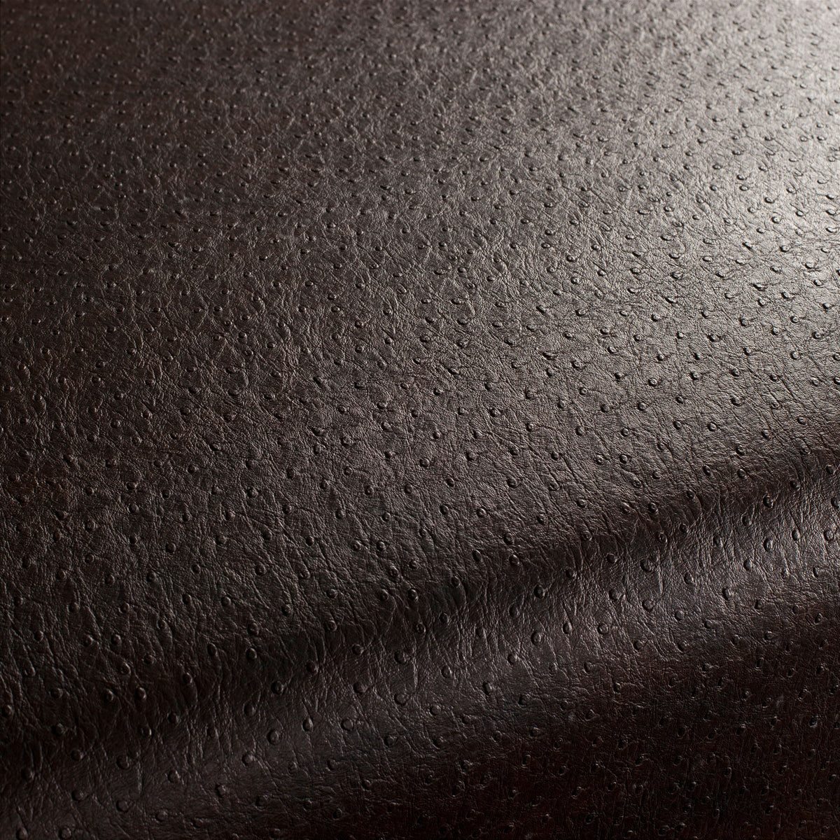 Carlucci Apache 021 CA7812/021 Sample | 40% Off (Samples)