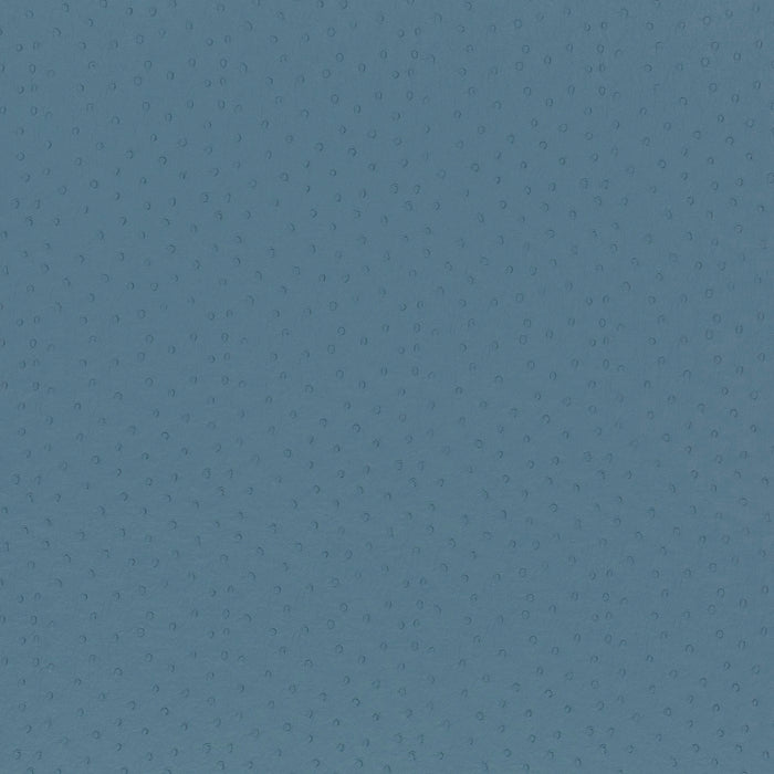 Carlucci Apache Reloaded 050 Fabric Sample CA7812/050