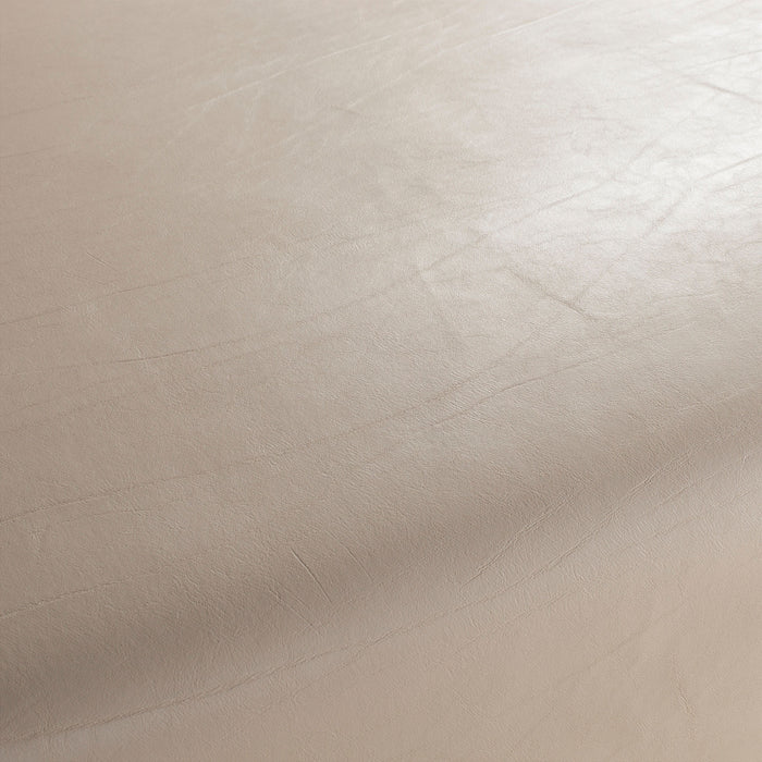 Carlucci Comanche Reloaded 070 Fabric Sample CA7822/070