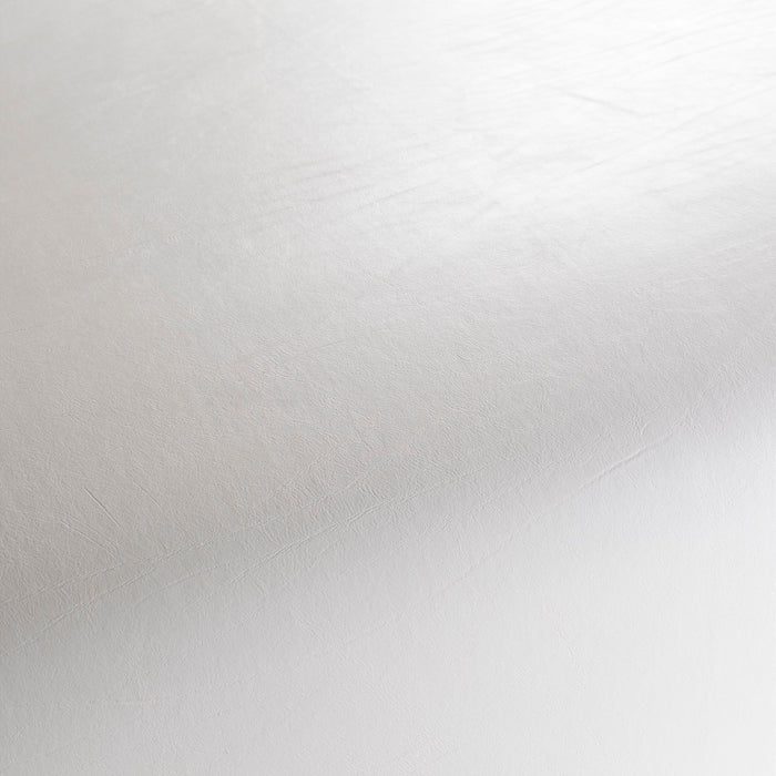 Carlucci Comanche Reloaded 090 Fabric Sample CA7822/090