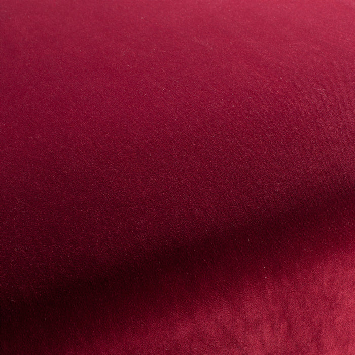 Carlucci City Velvet 011 Fabric Sample CA7832/011