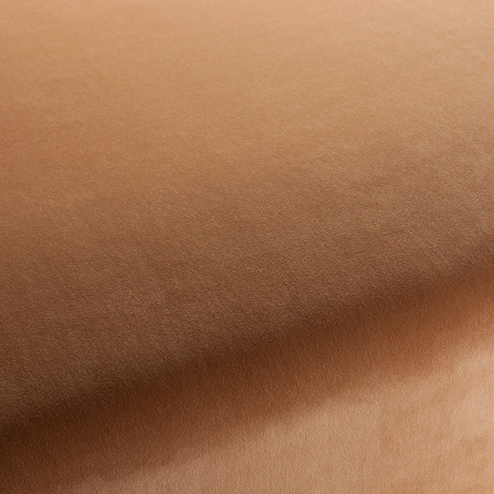 Carlucci City Velvet 025 Fabric CA7832/025
