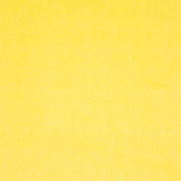 Carlucci City Velvet 042 Fabric Sample CA7832/042