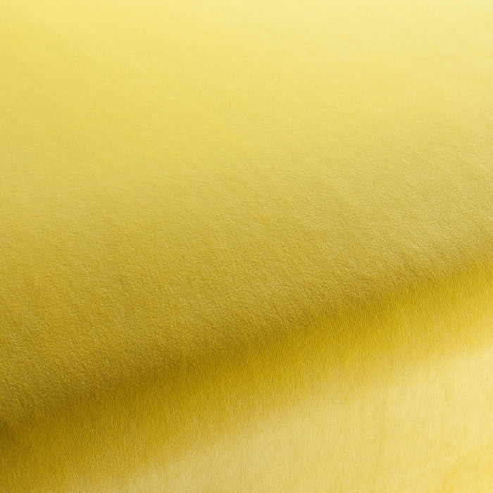 Carlucci City Velvet 042 Fabric CA7832/042