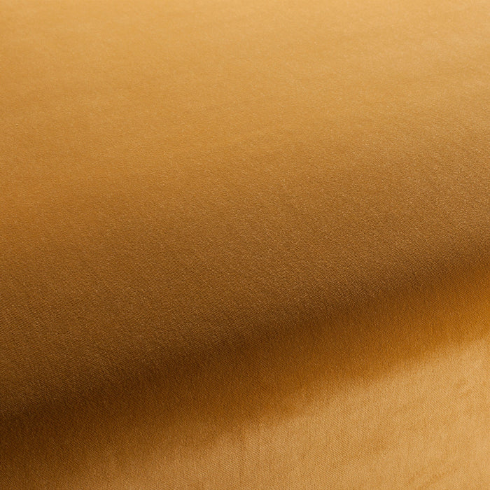 Carlucci City Velvet 060 Fabric Sample CA7832/060