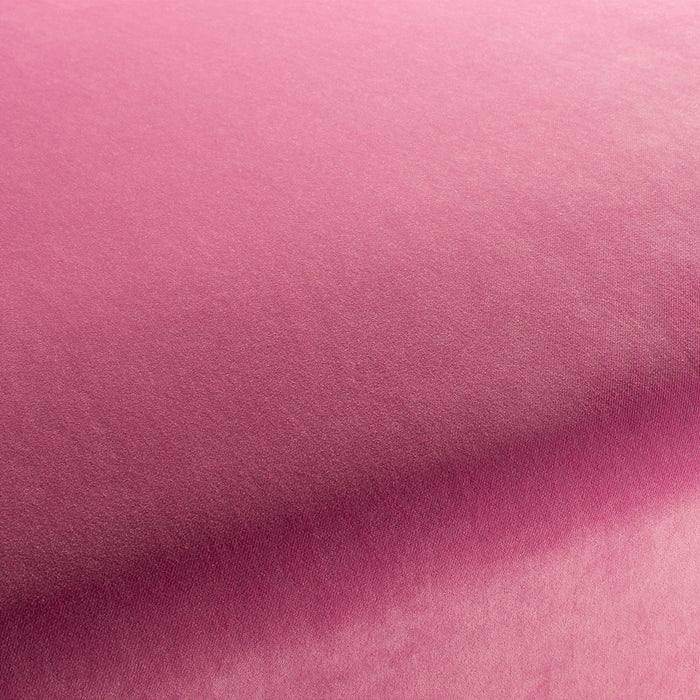 Carlucci City Velvet 066 Fabric Sample CA7832/066