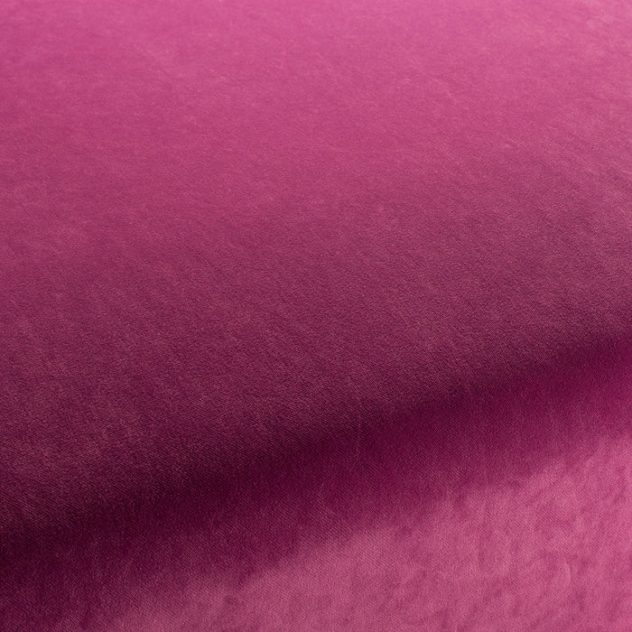 Carlucci City Velvet 067 Fabric Sample CA7832/067
