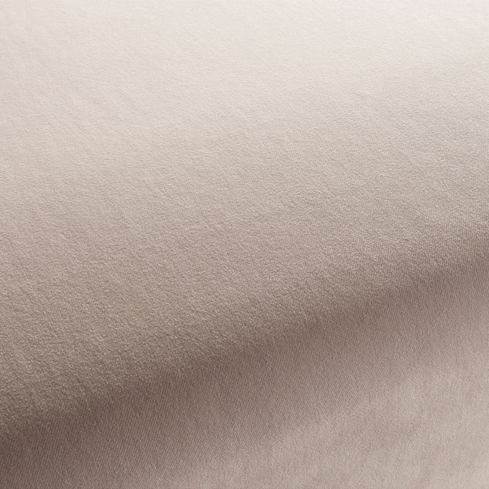 Carlucci City Velvet 071 Fabric CA7832/071
