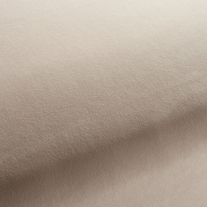 Carlucci City Velvet 072 Fabric Sample CA7832/072