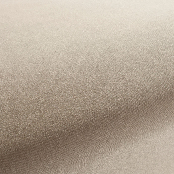 Carlucci City Velvet 074 Fabric Sample CA7832/074