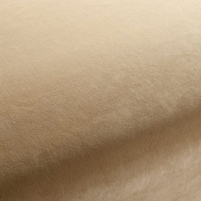 Carlucci City Velvet 075 Fabric Sample CA7832/075