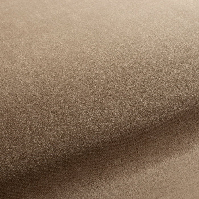 Carlucci City Velvet 076 Fabric CA7832/076