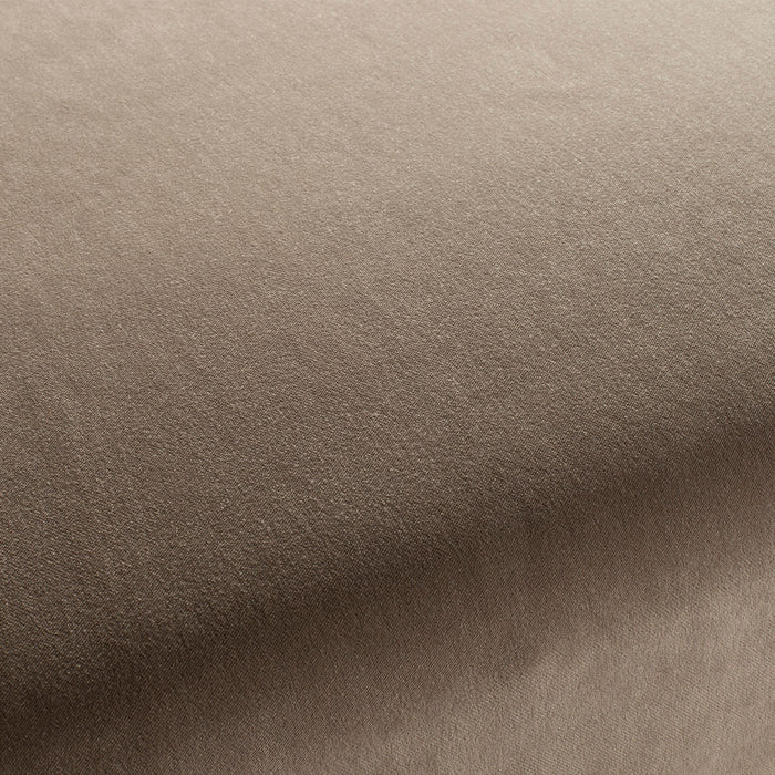 Carlucci City Velvet 077 Fabric Sample CA7832/077