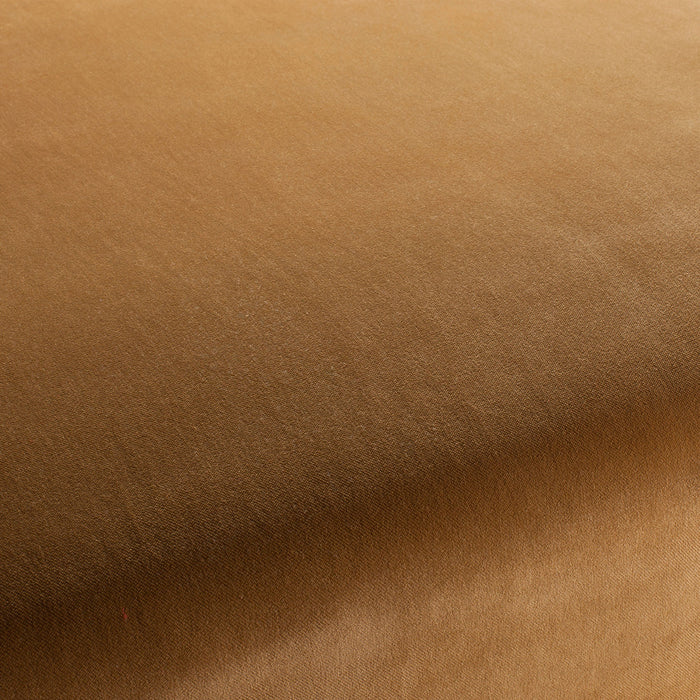 Carlucci City Velvet 079 Fabric Sample CA7832/079