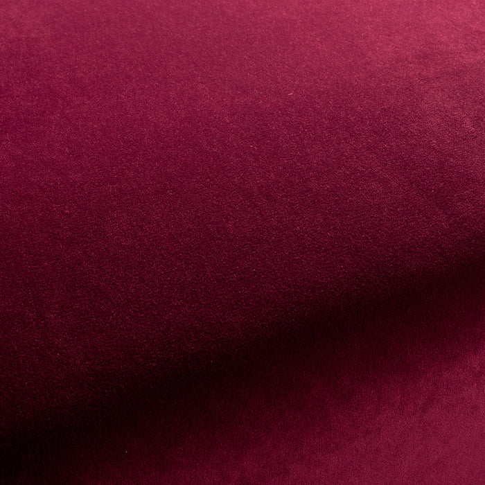 Carlucci City Velvet 080 Fabric CA7832/080