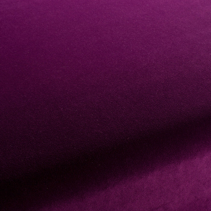 Carlucci City Velvet 089 Fabric CA7832/089