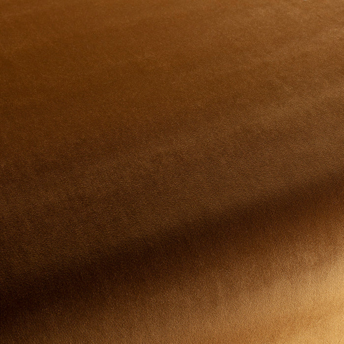 Carlucci City Velvet 120 Fabric CA7832/120