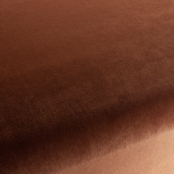 Carlucci City Velvet 121 Fabric CA7832/121