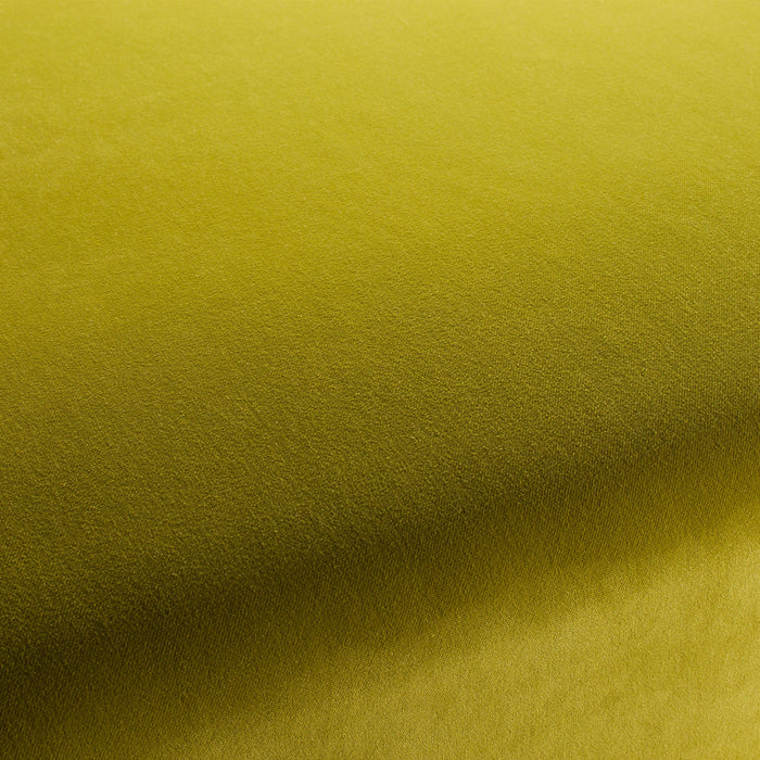 Carlucci City Velvet 130 Fabric CA7832/130