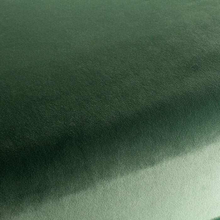 Carlucci City Velvet 134 Fabric CA7832/134