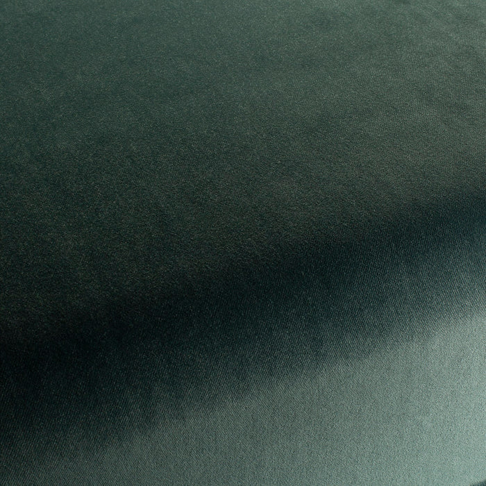 Carlucci City Velvet 137 Fabric CA7832/137