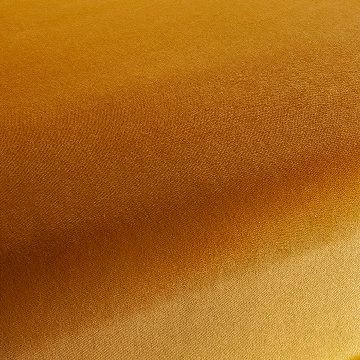 Carlucci City Velvet 140 Fabric CA7832/140
