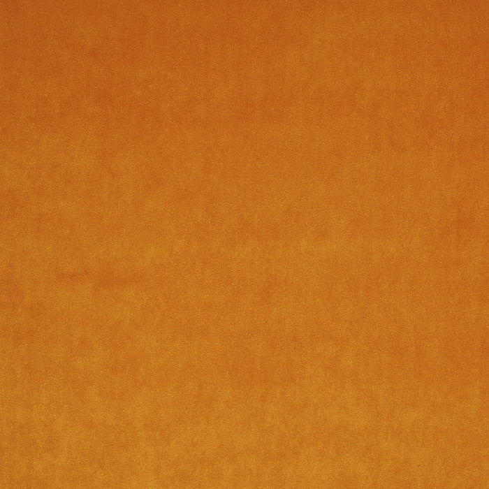 Carlucci City Velvet 163 Fabric Sample CA7832/163
