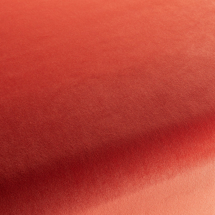 Carlucci City Velvet 164 Fabric CA7832/164