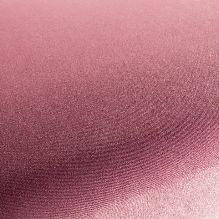 Carlucci City Velvet 169 Fabric Sample CA7832/169