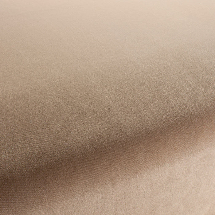 Carlucci City Velvet 170 Fabric Sample CA7832/170