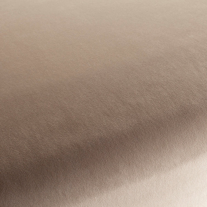 Carlucci City Velvet 172 Fabric CA7832/172