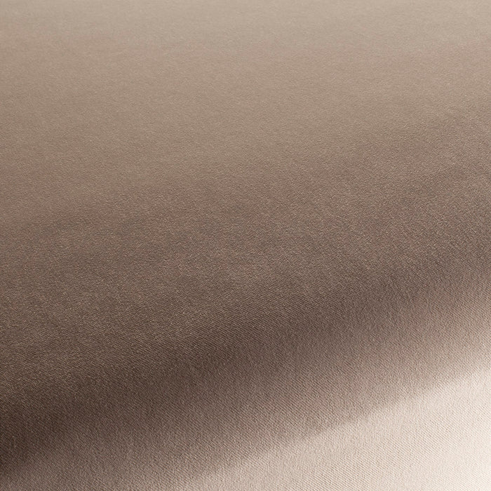 Carlucci City Velvet 174 Fabric CA7832/174