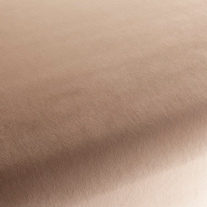 Carlucci City Velvet 175 Fabric CA7832/175
