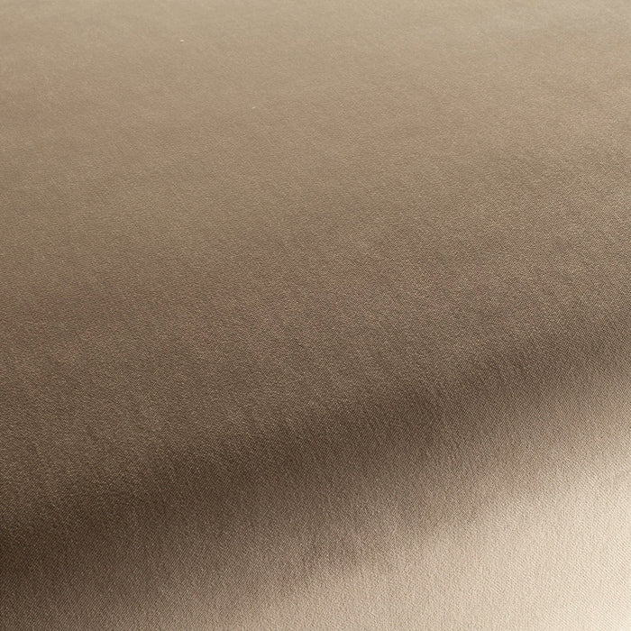 Carlucci City Velvet 176 Fabric Sample CA7832/176