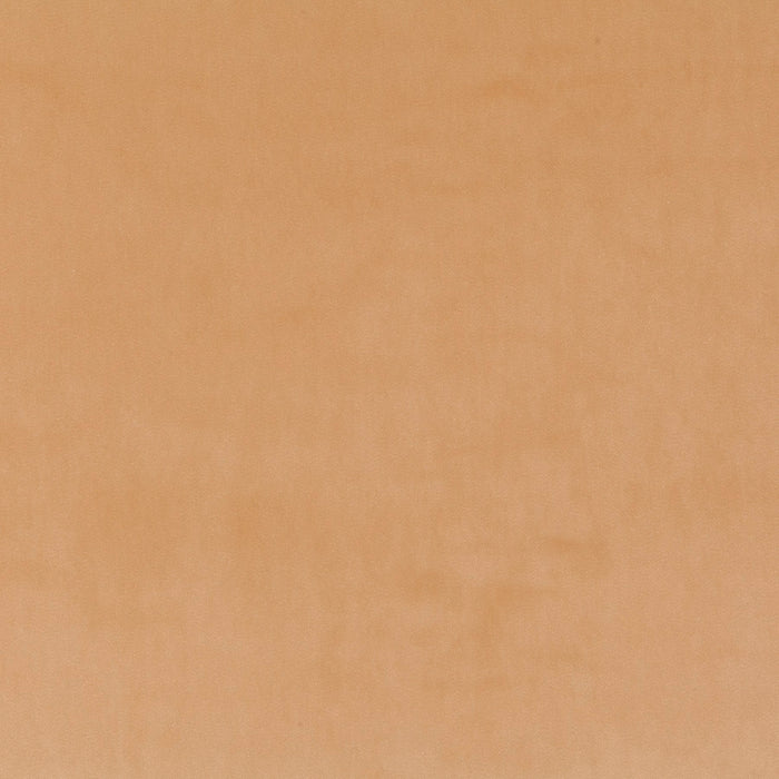 Carlucci City Velvet 178 Fabric Sample CA7832/178