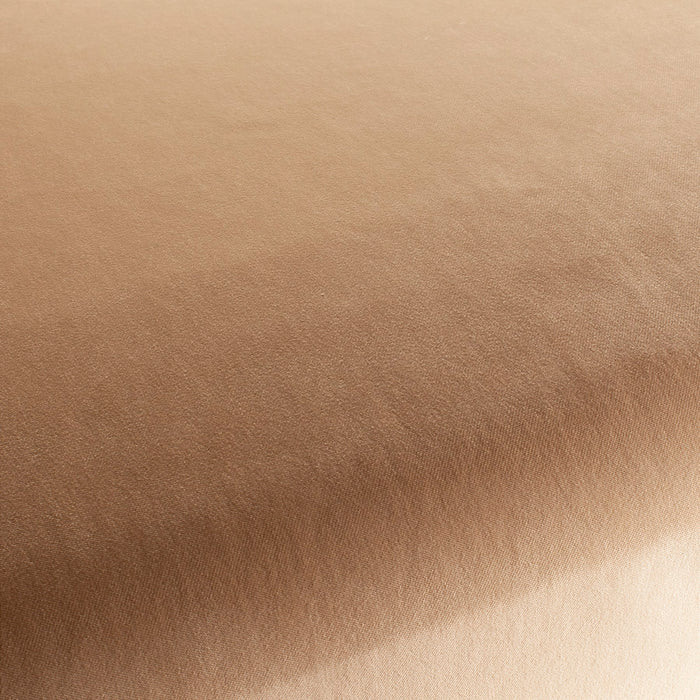 Carlucci City Velvet 178 Fabric Sample CA7832/178