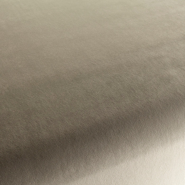 Carlucci City Velvet 179 Fabric Sample CA7832/179