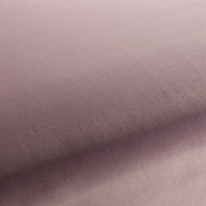Carlucci City Velvet 180 Fabric CA7832/180