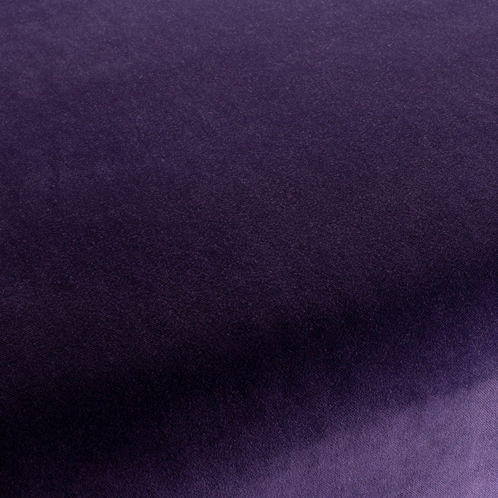 Carlucci City Velvet 185 Fabric CA7832/185