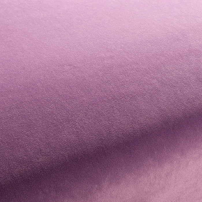 Carlucci City Velvet 188 Fabric Sample CA7832/188